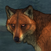 Foxheart Headshot