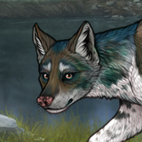 Piebald: Zerdava Headshot