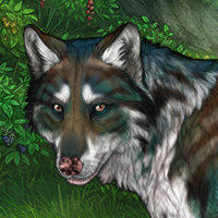 Piebald: Zerdava Headshot