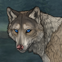 BristleBark Headshot