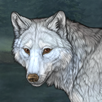 Wolf Headshot