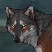 Silverfish Headshot