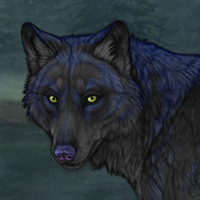 Masznis Headshot