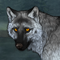 Wolf Headshot