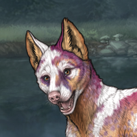 K - New Puppy Headshot