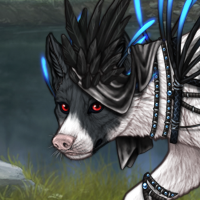 Piebald Headshot