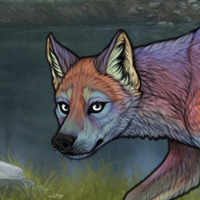 Female fox keep Headshot