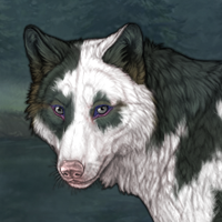 Wolf Headshot