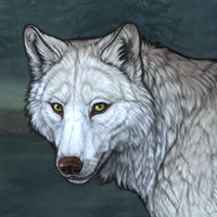 Wolf Headshot