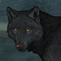 Wolf Headshot