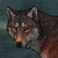 Copperheart Headshot