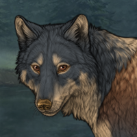 Wolf Headshot