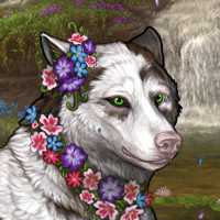 Wolf Headshot