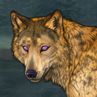 Golden amber Headshot