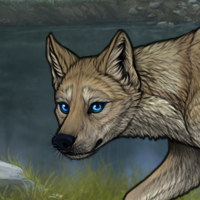 Lake Headshot