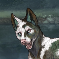 Piebald Uneven Headshot