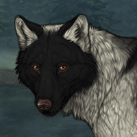 Wolf Headshot