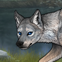 Silver Lamb Headshot
