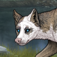 SELL PIEBALD MOONLIGHT EY Headshot