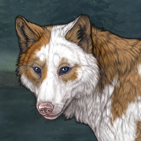 Piebald: Torn Storm Headshot