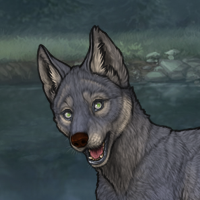 Rime breed Headshot