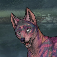 Colorful Headshot