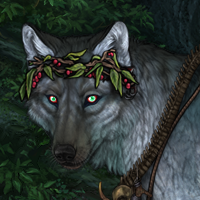 Wolf Headshot