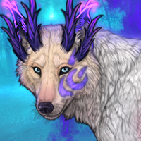 Feathered purples Headshot