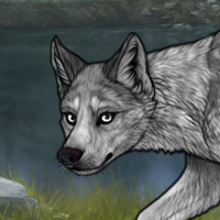 Smudge Headshot