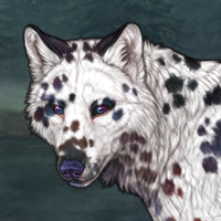 NIB G3 Dalmatian Headshot