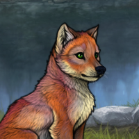 t3 fox Headshot