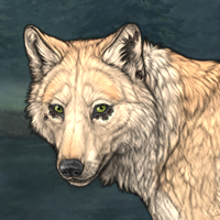 Wolf Headshot