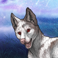 Wandering Spirit Headshot