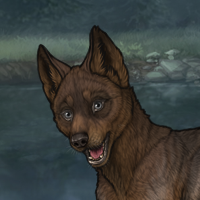 New Puppy Headshot