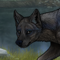 Iridium Headshot