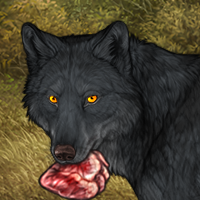 Wolf Headshot