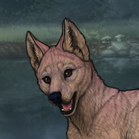 Enclave Puppy9 Headshot