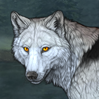 Wolf Headshot