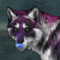 Purple Patches Headshot