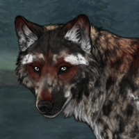 Aeron Headshot