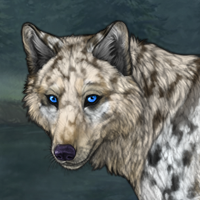 Tundra Headshot