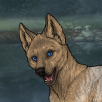 Enclave Puppy Headshot