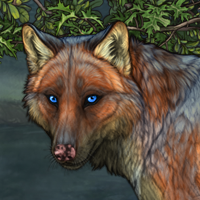 Foxcry Headshot