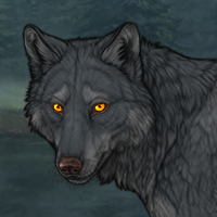 Wolf Headshot