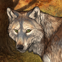 Wolf Headshot