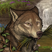 Wolf Headshot