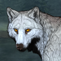 Wolf Headshot