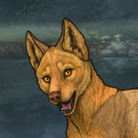 Enclave Puppy Headshot