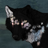 Patches: Mottled Headshot