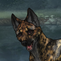 Orcane Headshot